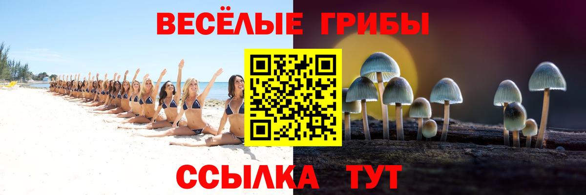 Псилоцибиновые грибы Psilocybine cubensis Пугачёв
